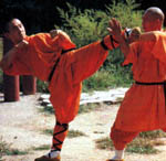 Shi De Cheng & Fu Lin au Wushu Quan